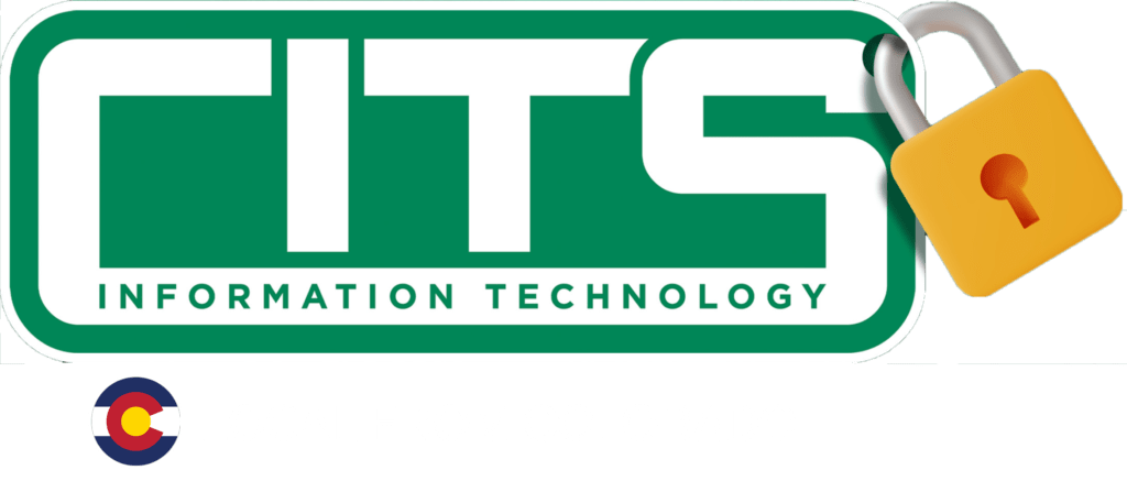 Colorado IT company for Colorado Businesses